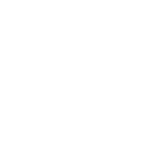 Logo Virtual Gamers